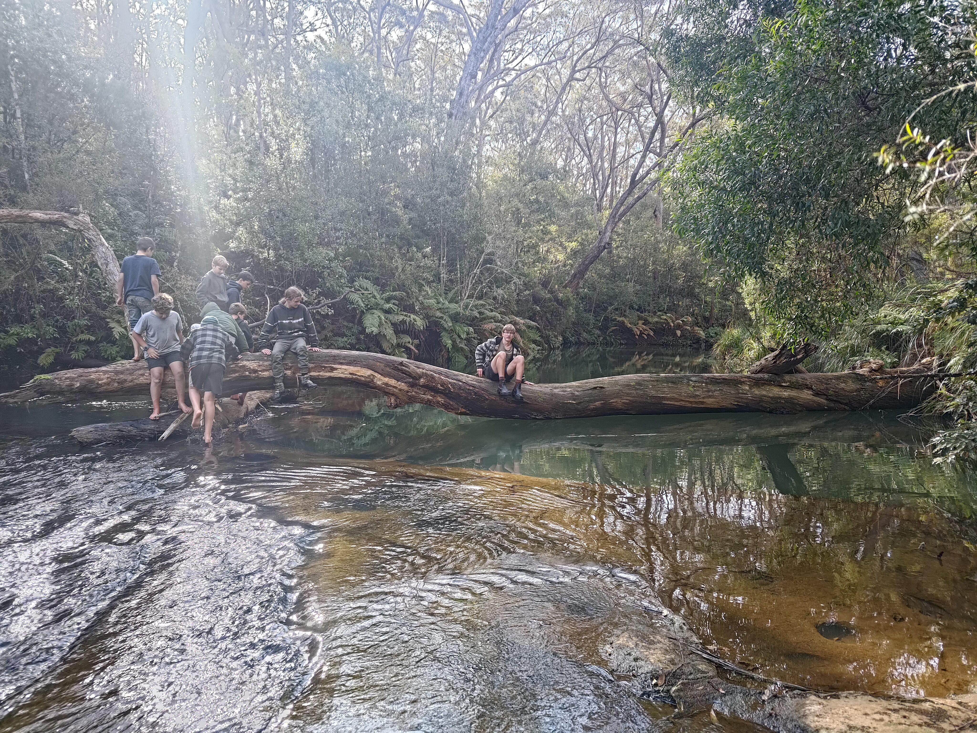exploring local creeks
